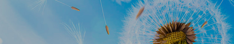 Environmental protection and innovation